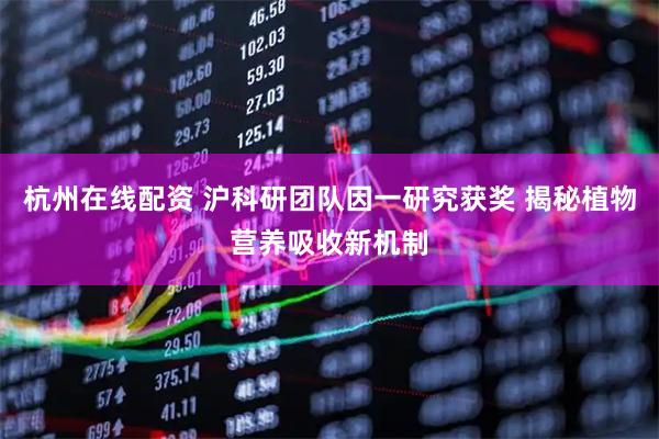 杭州在线配资 沪科研团队因一研究获奖 揭秘植物营养吸收新机制